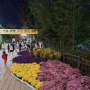 동래읍성 광장 | 2024 동래읍성 역사축제후기. 동래부사 행차 직관. 정말 다양한 프로그램이 있는 축제