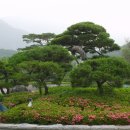 금정체육공원경륜장 이미지