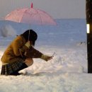 데구르르 이미지