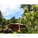 잣향기푸른마을 이미지