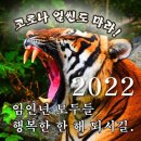 임인년 스타트!