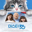 지금 CGV 방송에서 미스터캣 방송 하는데 디게 재밌네요 ㅋㅋㅋ 이미지