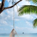 여름이네 이미지