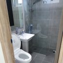 도그엔조이 이미지