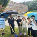 회화나무 연합뉴스