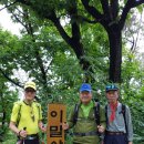 낙영농장 이미지