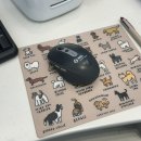 렌시스코리아 홍대점 이미지