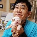 이경규 카카오 검색결과