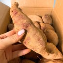 못골농장 이미지