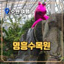 힐링에세이+ 숲(영흥수목원) | 영흥수목원 | 수원 실내데이트 추천, 겨울에도 따뜻한 온실 여행