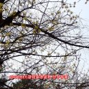 갈미중앙공원 이미지