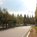 삼산게이트볼장 이미지