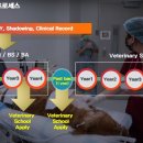 버팔로 동물병원 이미지