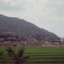 공곡천 Daum카페