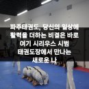 대한태권도장 | 파주태권도, 당신의 일상에 활력을 더하는 비결은 바로 여기 시리우스 시범 태권도장에서 만나는 새로운 나
