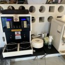 퍼피라떼 이미지