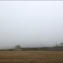 둘레목장 이미지