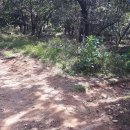 반도보라아파트경로당 이미지