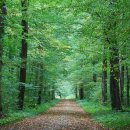 둥지휴양림 이미지