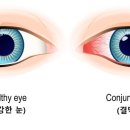 물금초등학교 이미지