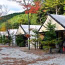 자일랜드 이미지