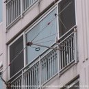 다이폴
