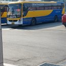 수원-1175 이미지