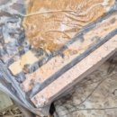 (주)포레스트바이오 이미지