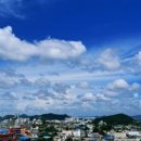 보리마당협동조합 이미지