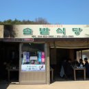 맘모스식당 이미지