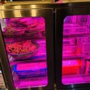 치커리생구이 이미지