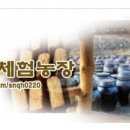 세종한울투어