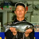 온평리-11 이미지