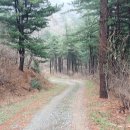 산안개 농장 이미지