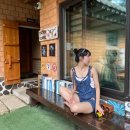 성신여자고등학교 | 정신병, 나에게로(2025 연말정산 1탄)