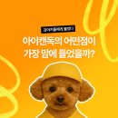 경산애견유치원, 아이캔독 후기가 궁금하시다면?