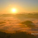대전꽃동산