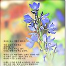 결코 늦지 않았다 (Never Too Late) / 롱펠로우 이미지