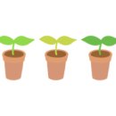 그림책 원예 활동 이미지