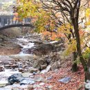 완주에코오토캠핑장 이미지