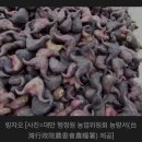 컨딩 가는 길 닮은꼴 찾기~!&lt;타이난 고속도로 휴게소, 선범석(촨판스), 어롼비(아란비, Eluanbi)공원 등대&gt;