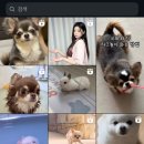 원희농장 이미지