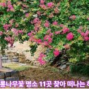 윤창세선생 묘소일원 | 논산, 배롱나무꽃 명소 11곳 찾아 떠나는 하루여행