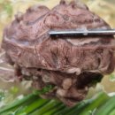 분당-271 이미지