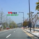 대평동_금강변길 이미지