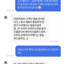 코코로브래드 | 황치즈 디저트 맛집 광주 코코로나인 빵택배 후기와 추천메뉴 맛 정리