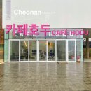 뮤지엄호두 MUSEUM HODU | 카페 호두(CAFE HODU) 천안 광덕면 카페와 미술관이 함께 있는 신상 카페