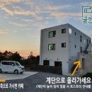 귤한가