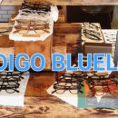 인디고 안경원 이미지