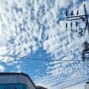 이층집돈까스계대남문점 | 성서 계대 이층집돈가스 계대남문점 내돈내산 후기